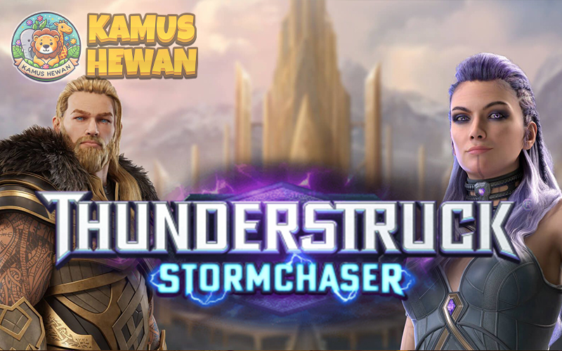 Thunderstruck® Stormchaser