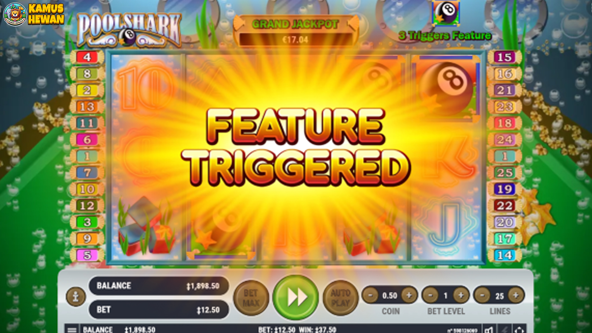 Game Digital Pool Shark memiliki 5 Bagian Penting Visual