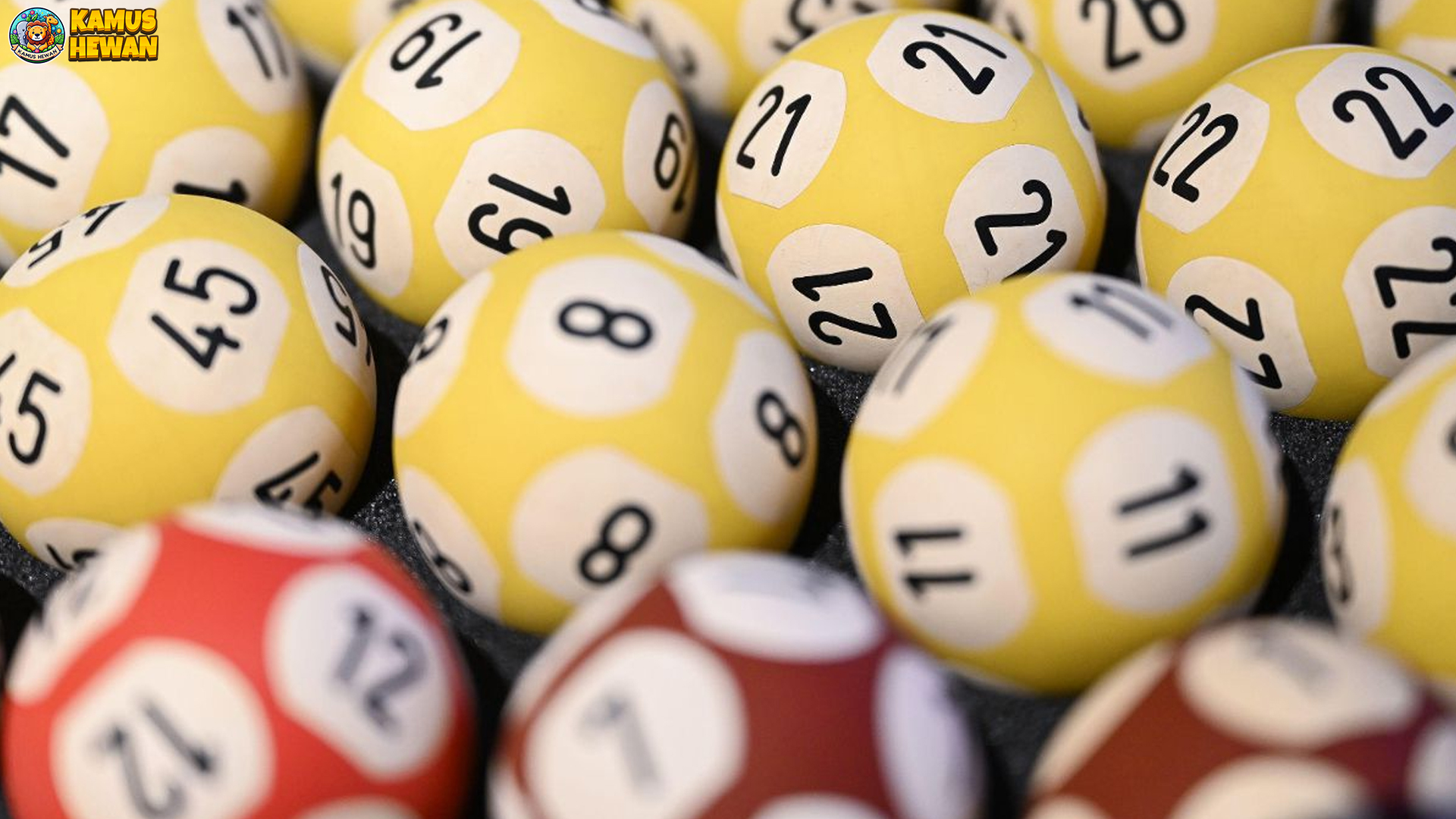 Review Agen Togel Online Terpercaya Paling Populer 2025