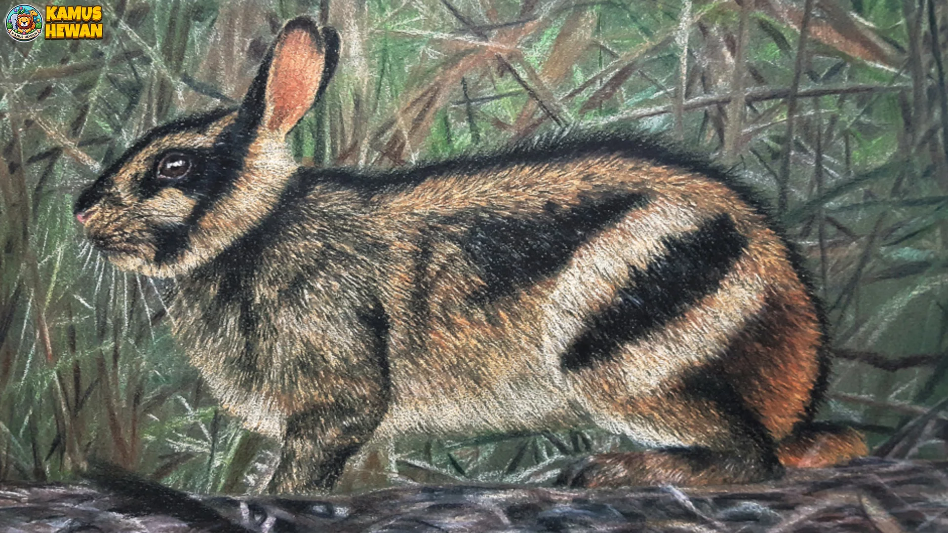 Gak Cuma Imut! 5 Karakteristik Kelinci Sumatra yang Bikin Unik