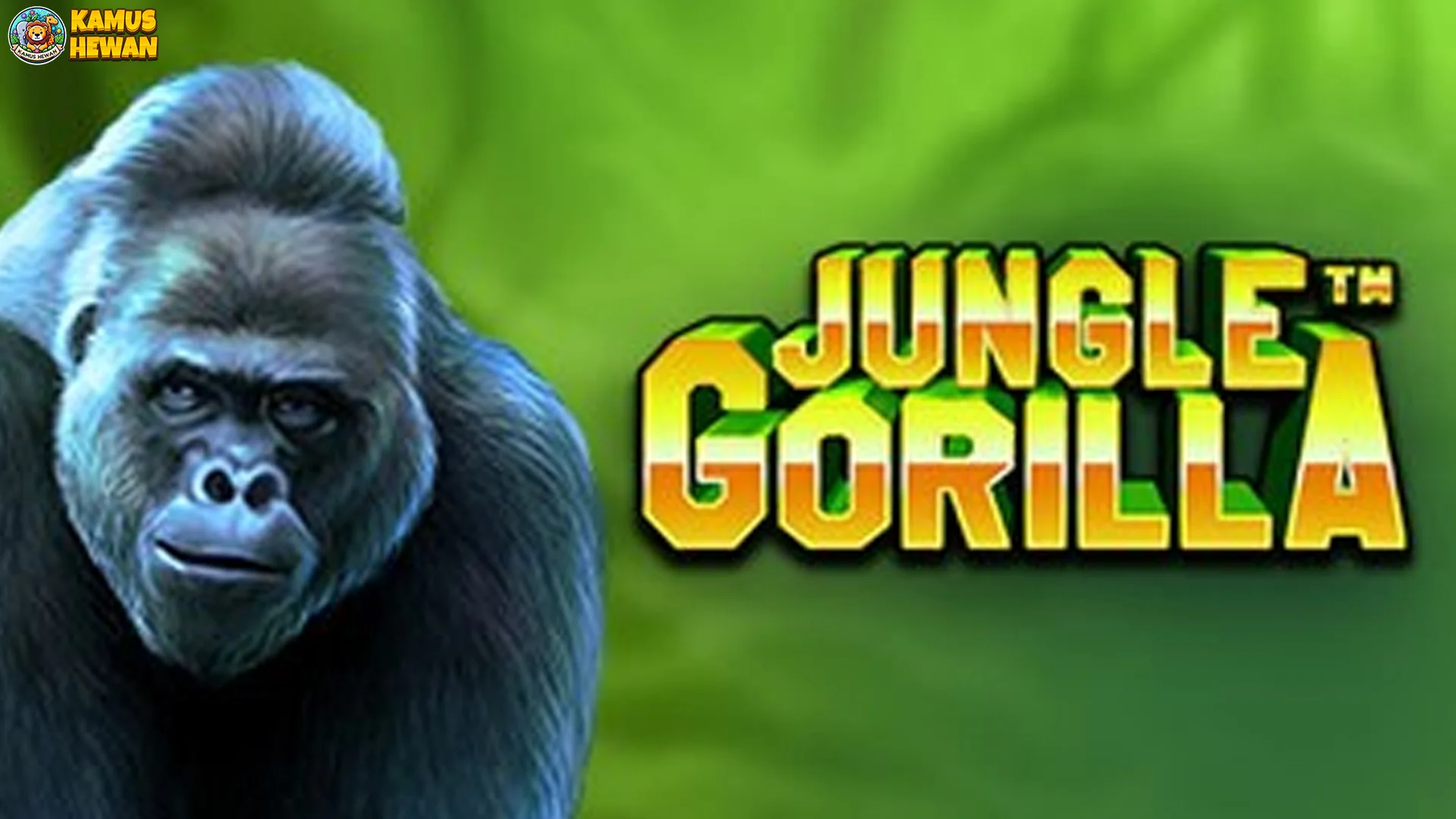 Ngeliat 4 Fitur Ini, Jungle Gorilla Emang Worth It Banget