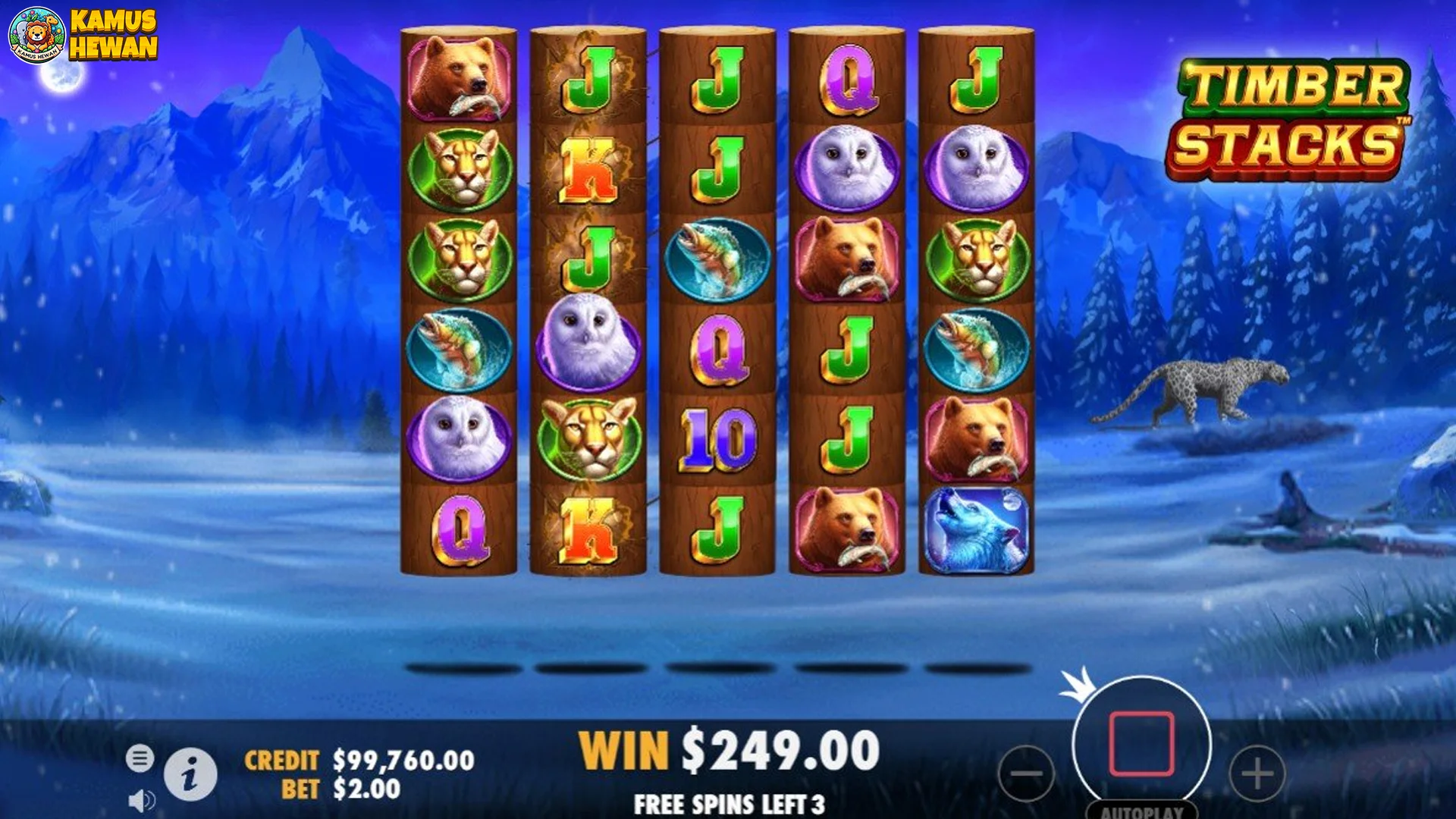 Timber Stacks 2025 dan Obsesi Generasi Z akan Kesempurnaan 