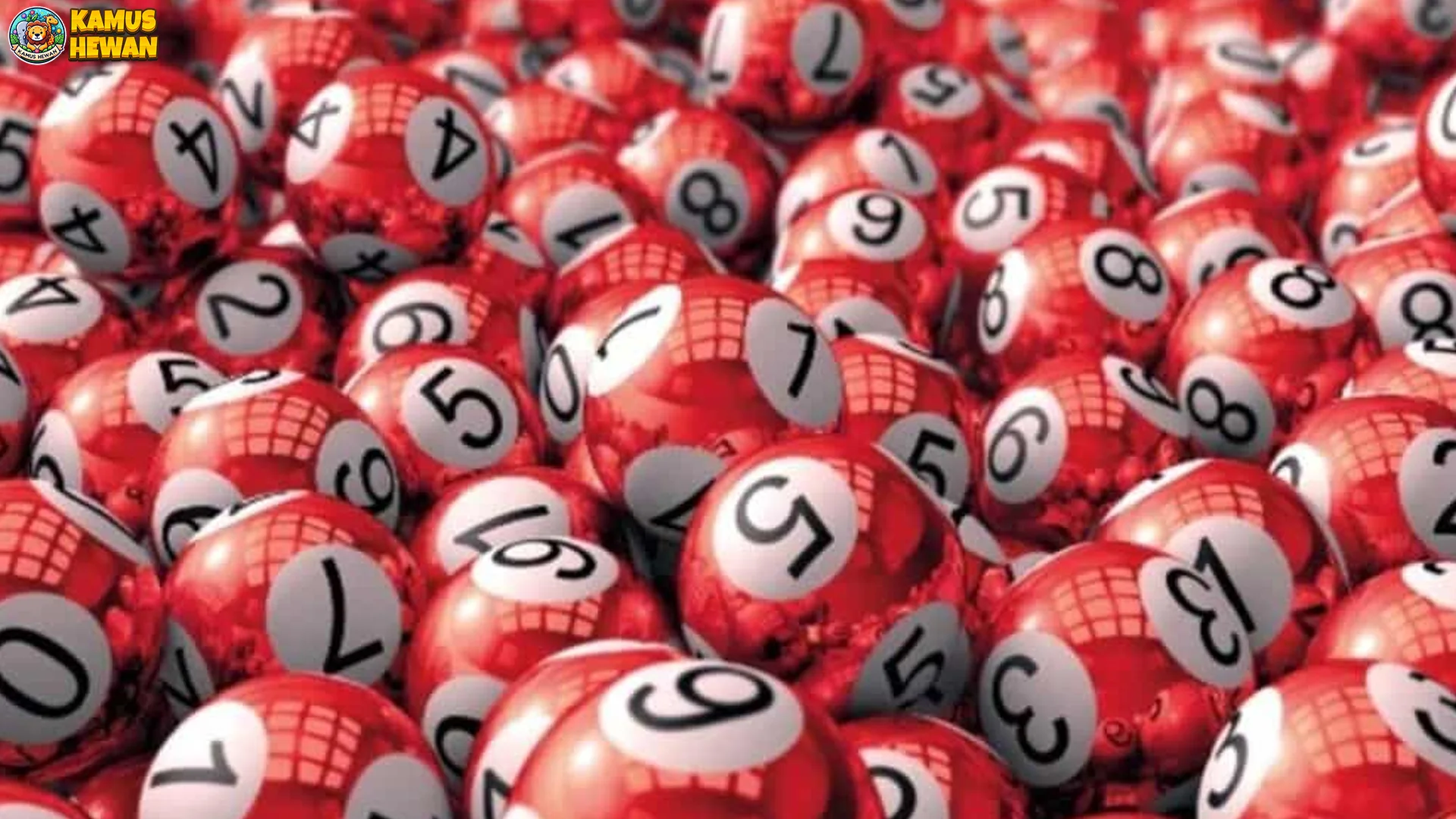 4 Poin Penting Seputar Togel Online 2D/3D Online Buat Sekarang