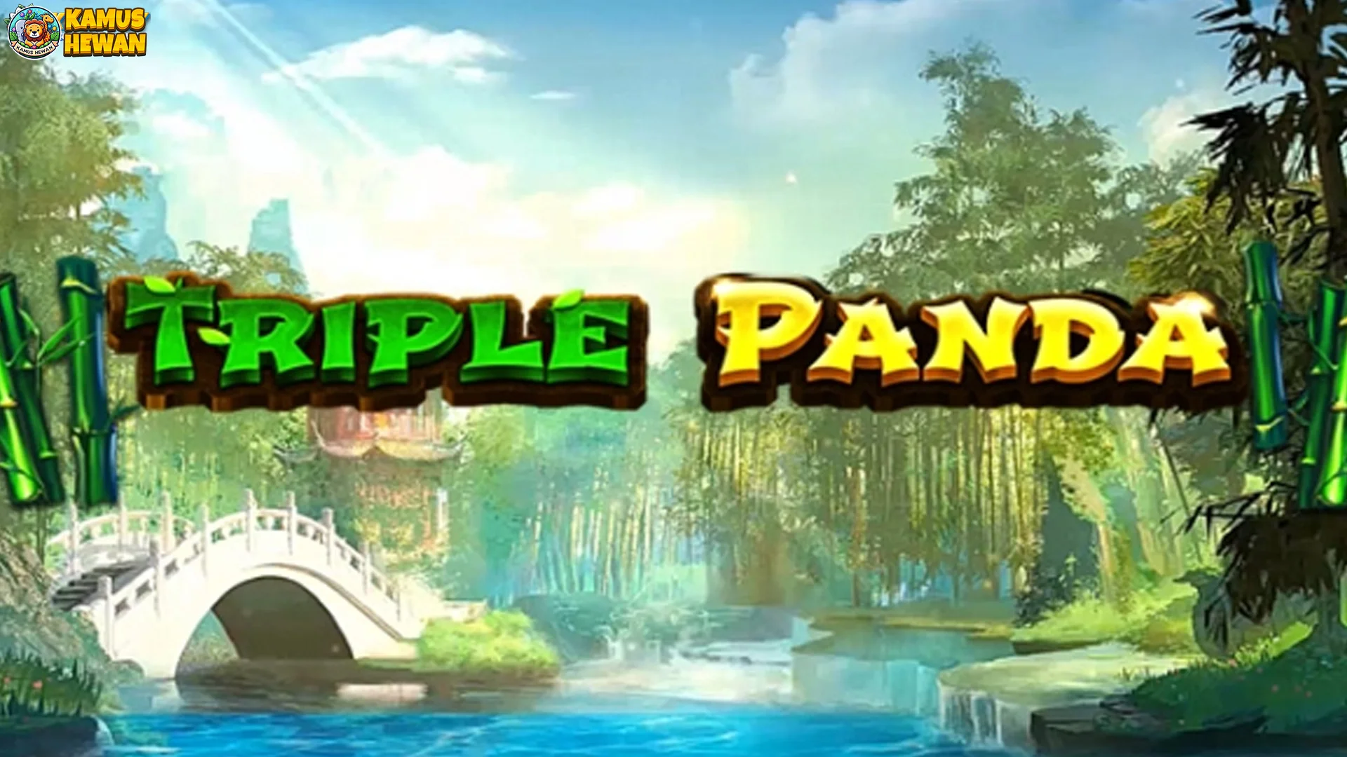 Vibes Ngeledak Dengan 4 Rumus Triple Panda Terbaru