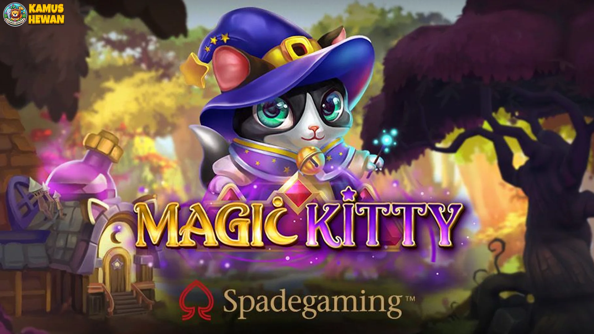 Spell Salfok 4 Kelebihan Magic Kitty yang Jarang Dilihat